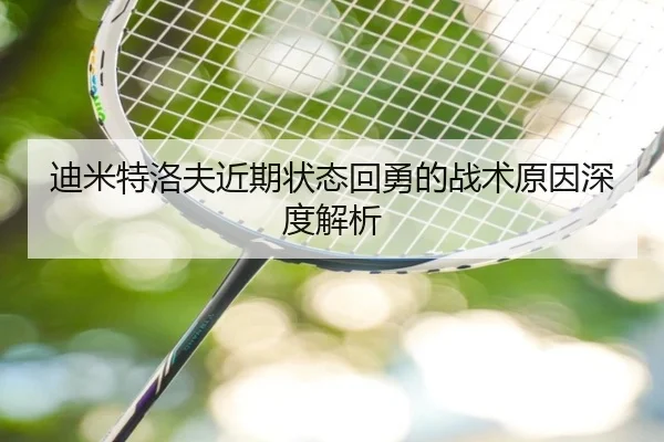 迪米特洛夫近期状态回勇的战术原因深度解析