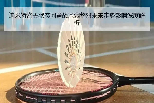迪米特洛夫状态回勇战术调整对未来走势影响深度解析