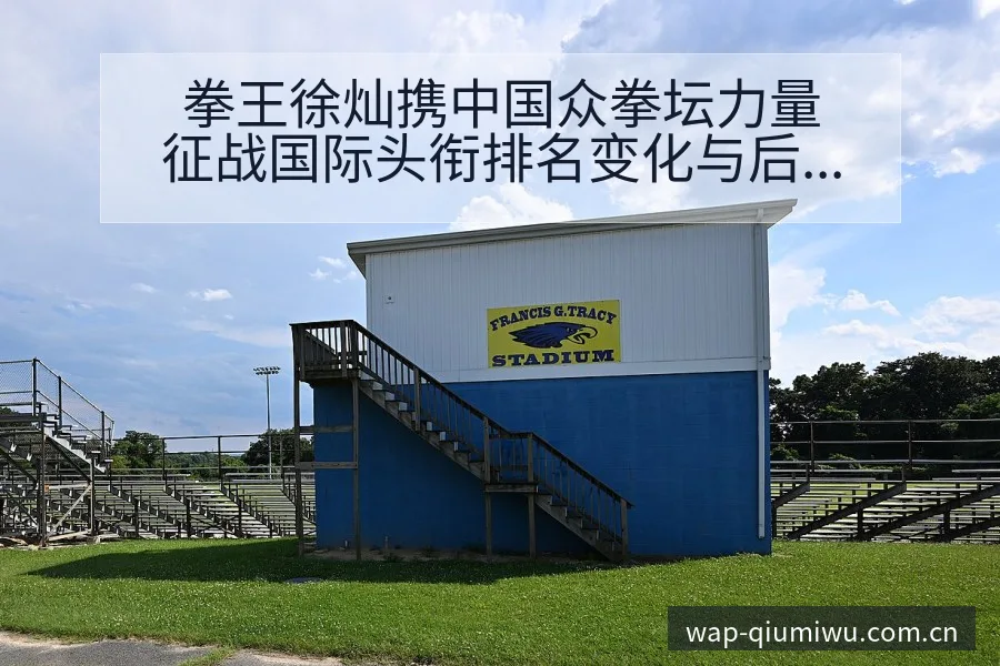 拳王徐灿携中国众拳坛力量征战国际头衔排名变化与后续走势签 - 竞彩网